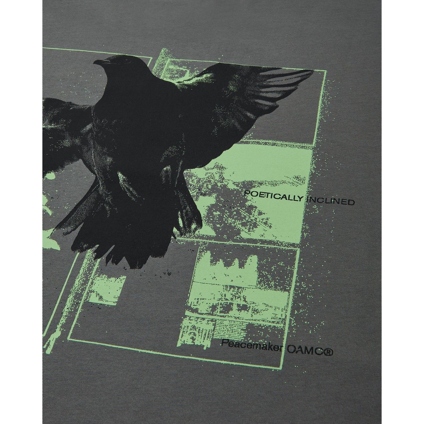 T-shirt Uomo OAMC Peacemaker - Regular Tee Birds Print - Grigio