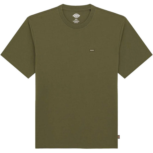 T-shirt męski Dickies – Clancy Heavyweight Tee Ss – zielony