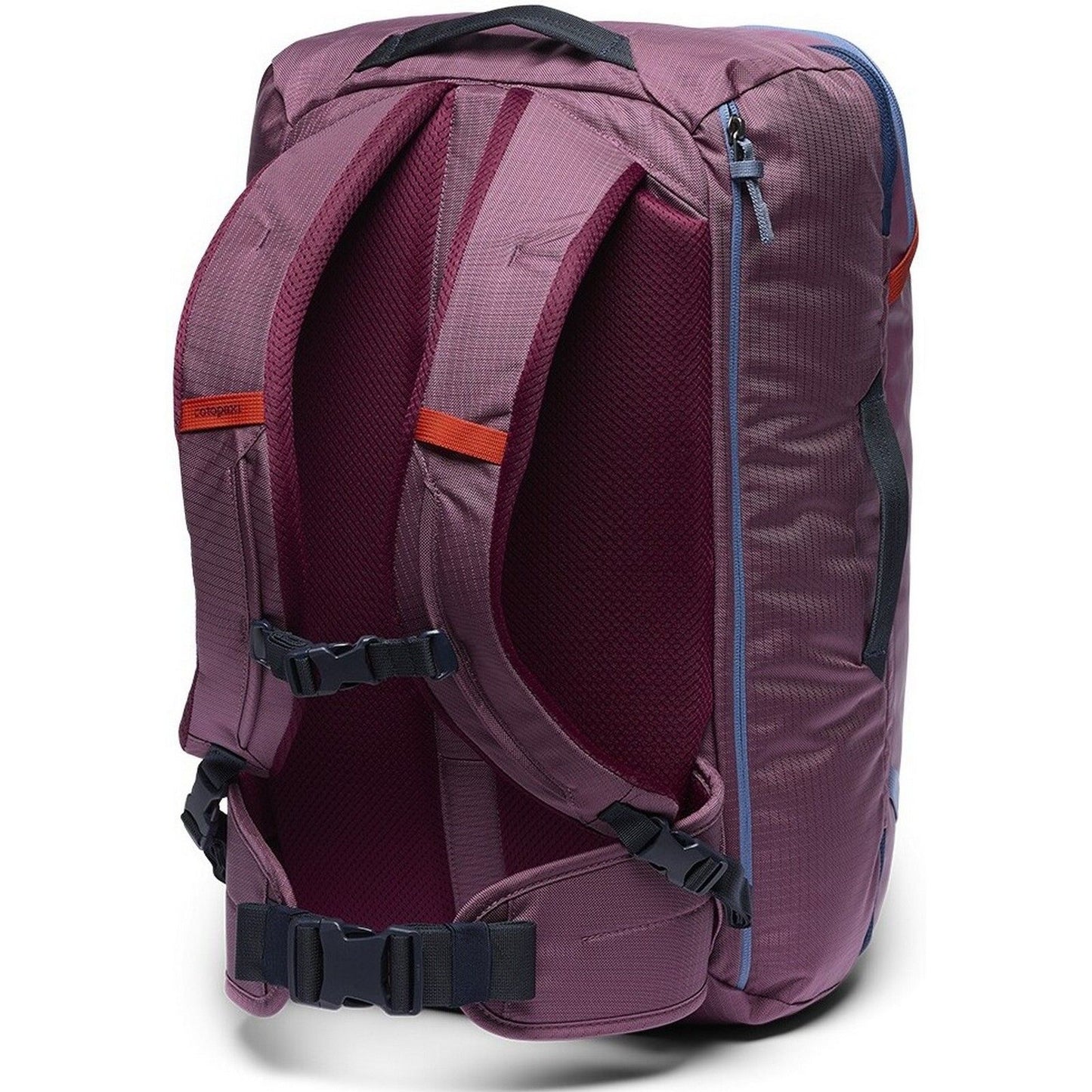 Borse a spalla Unisex Cotopaxi - Allpa 35L Travel Pack - Viola