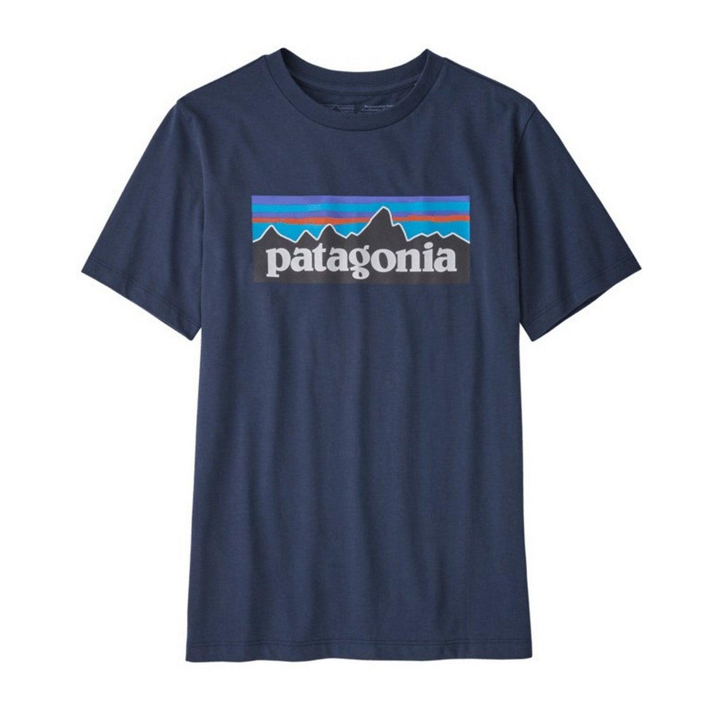T-shirt Ragazzi Unisex Patagonia - K's Regenerative Org. Certif. Cotton P6 Logo Tee - Blu