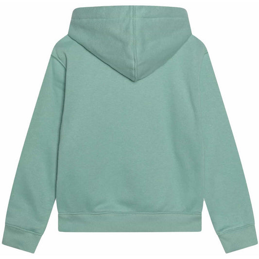 Sweats à capuche garçons unisexe Dickies - Sweat à capuche avec logo pour jeunes - Bleu