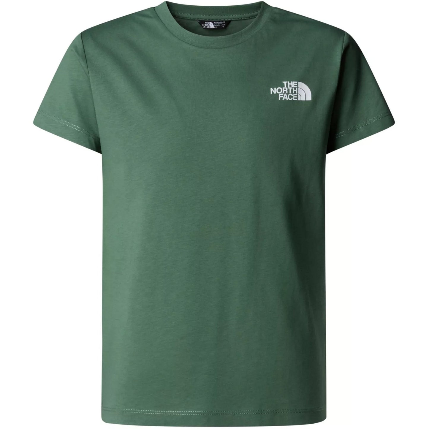 T-shirt Ragazzo The North Face - Boy’s Box Nse S/S Tee - Verde