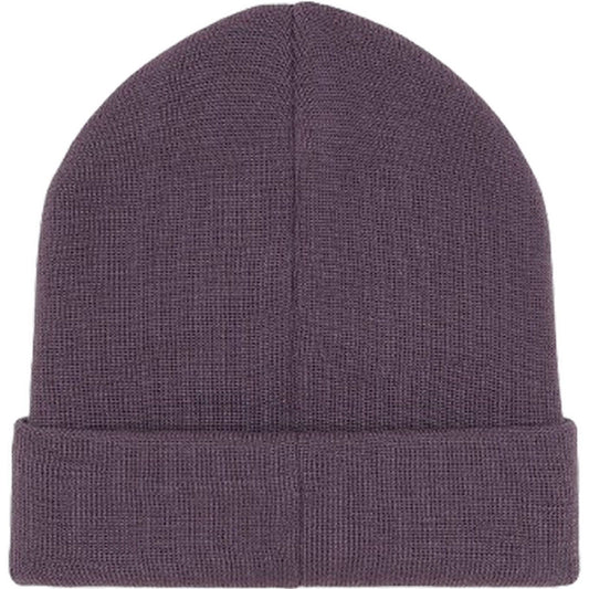 Berretti in maglia Uomo Dickies - Summerdale Beanie - Viola