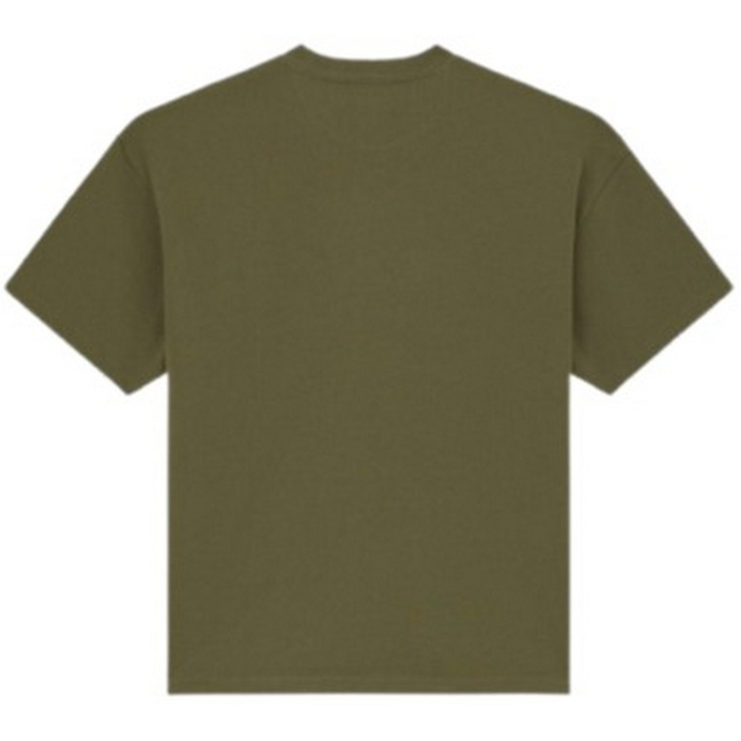 Dickies T-shirt pour hommes - Mineral Heavyweight Ss Tee - Vert