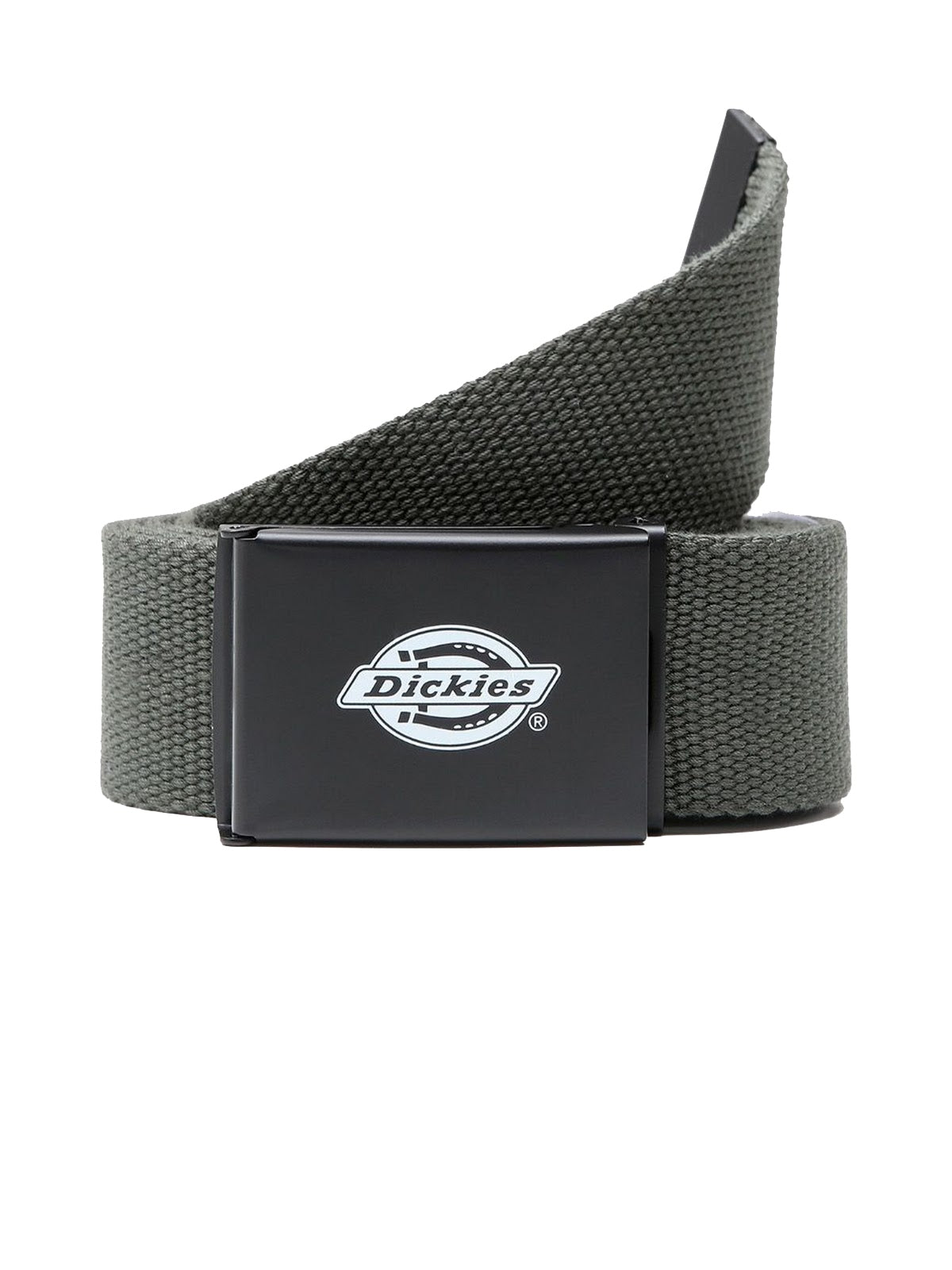 Cinture Uomo Dickies - Orcutt Webbing Belt - Verde