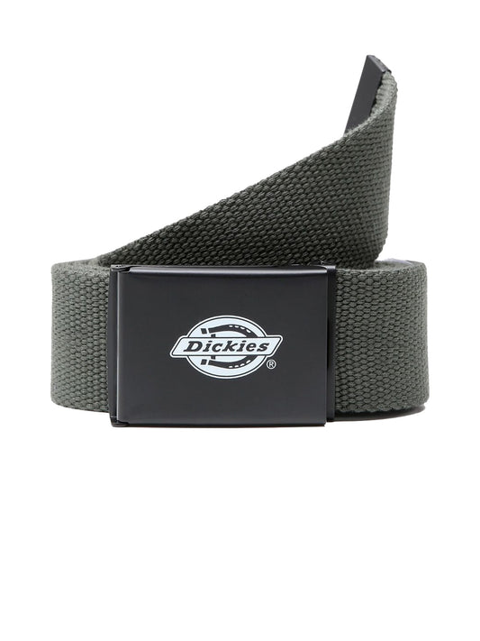Cinture Uomo Dickies - Orcutt Webbing Belt - Verde