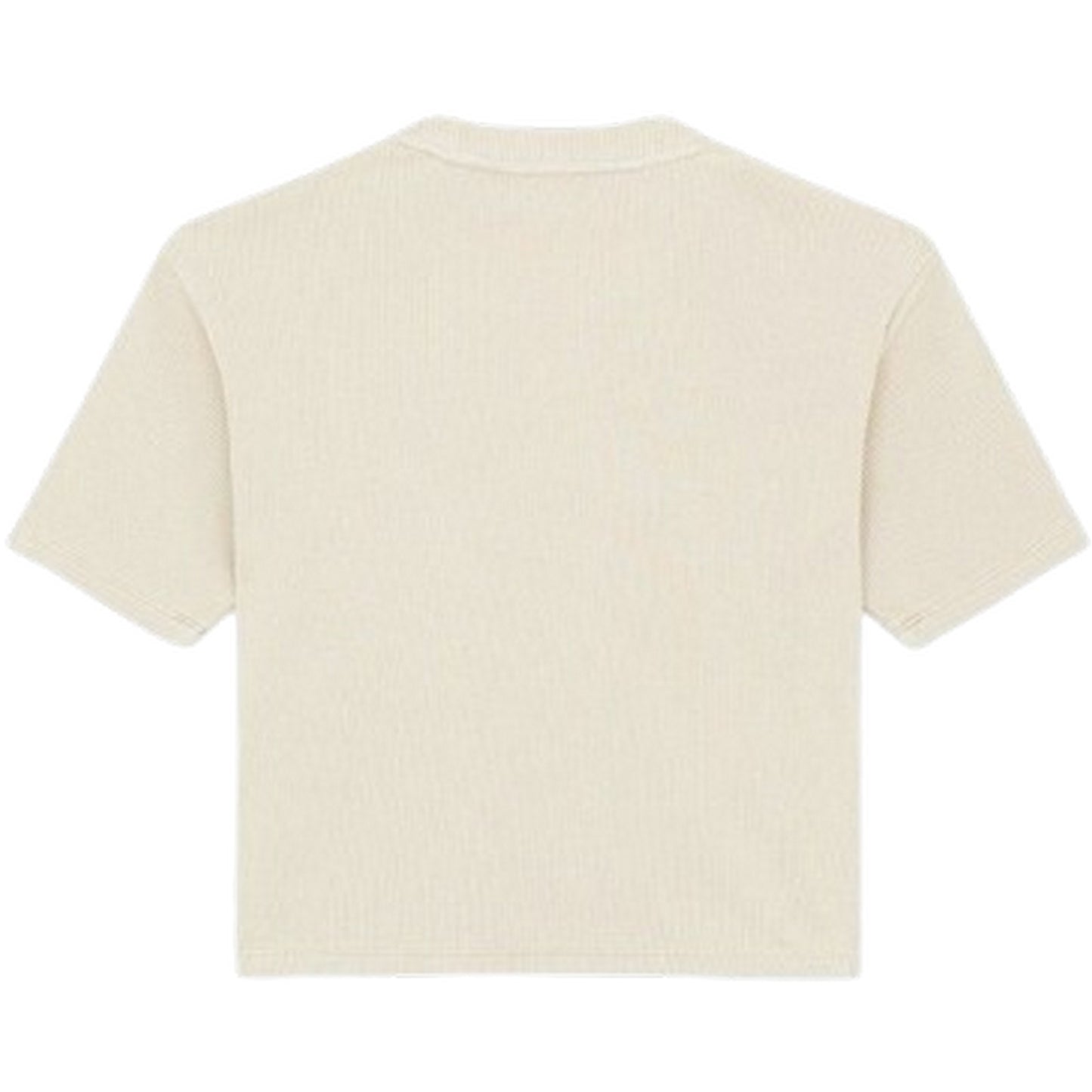 T-shirt Donna Dickies - Plentywood Tee Ss W - Beige