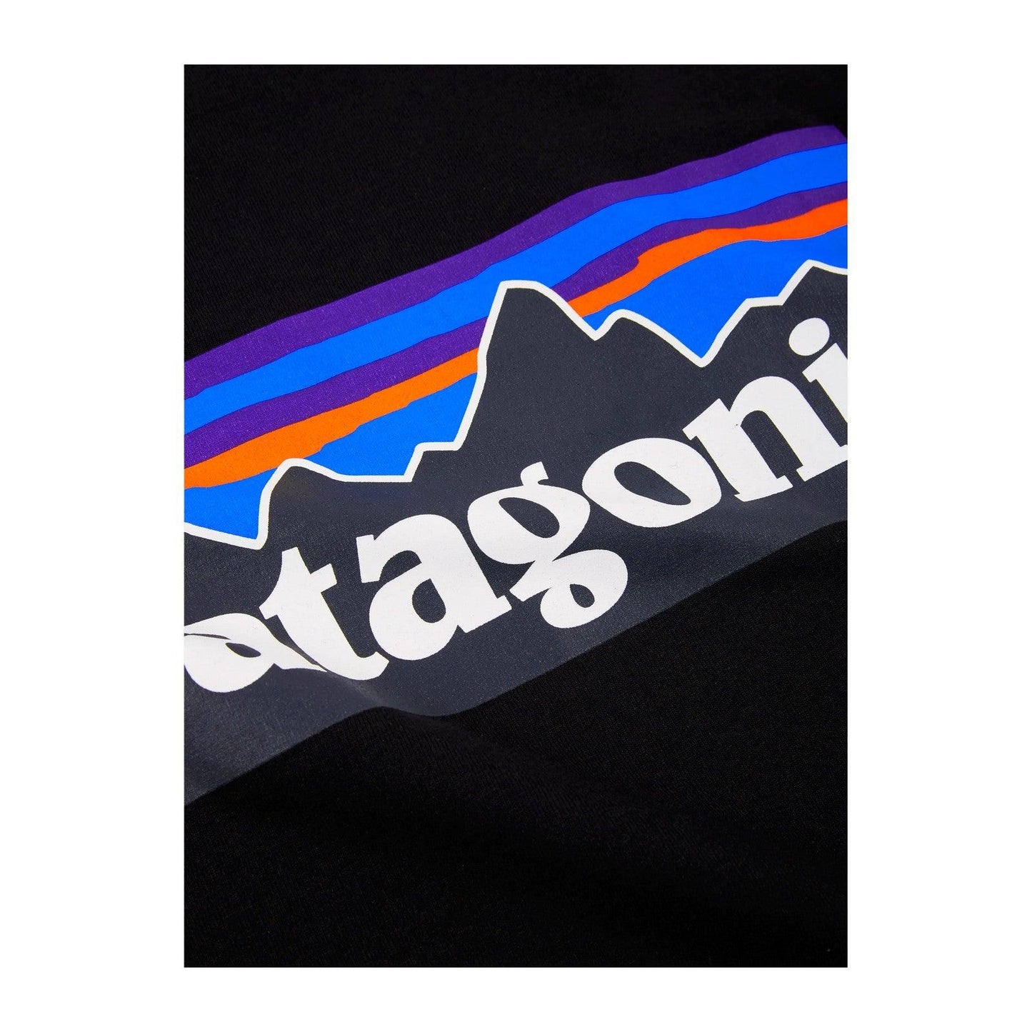 T-shirt Uomo Patagonia - M's P-6 Logo Responsibili-Tee - Nero