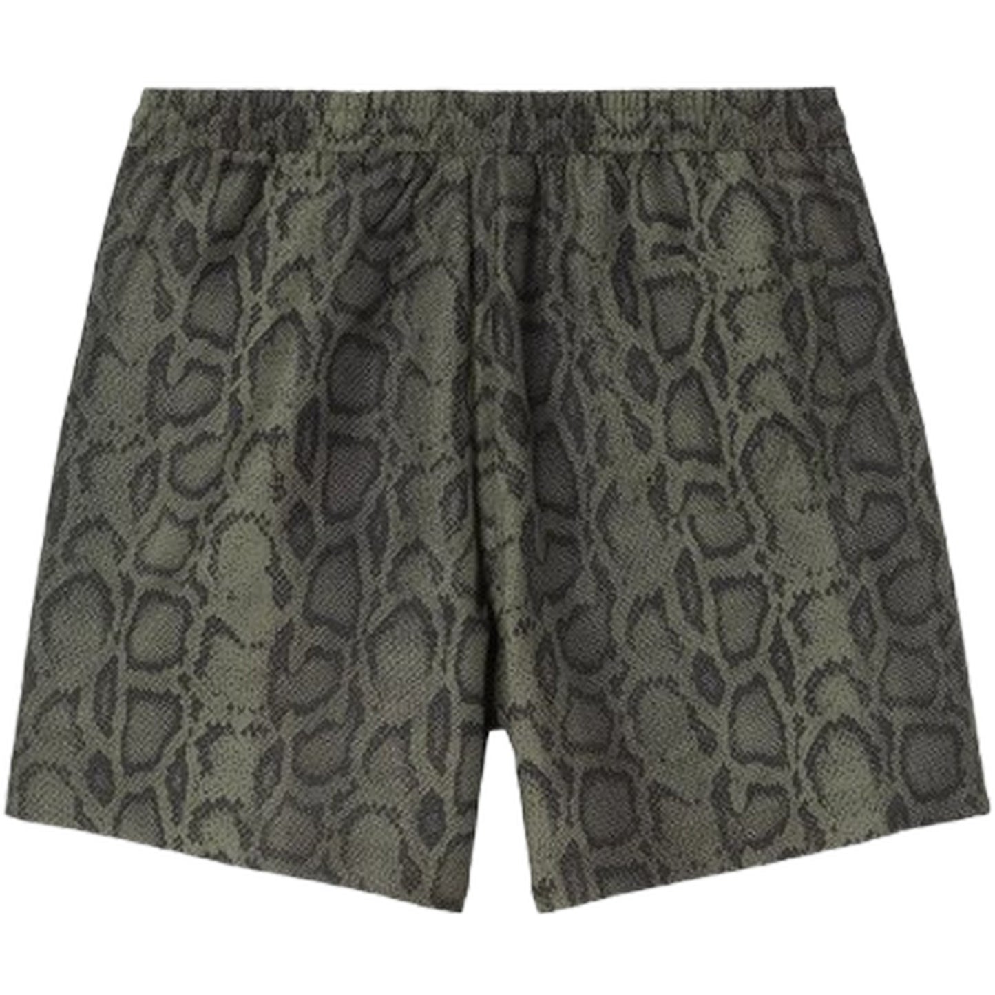 Pantaloncini e calzoncini Uomo Carhartt Wip - Slater Swim Trunks - Camouflage
