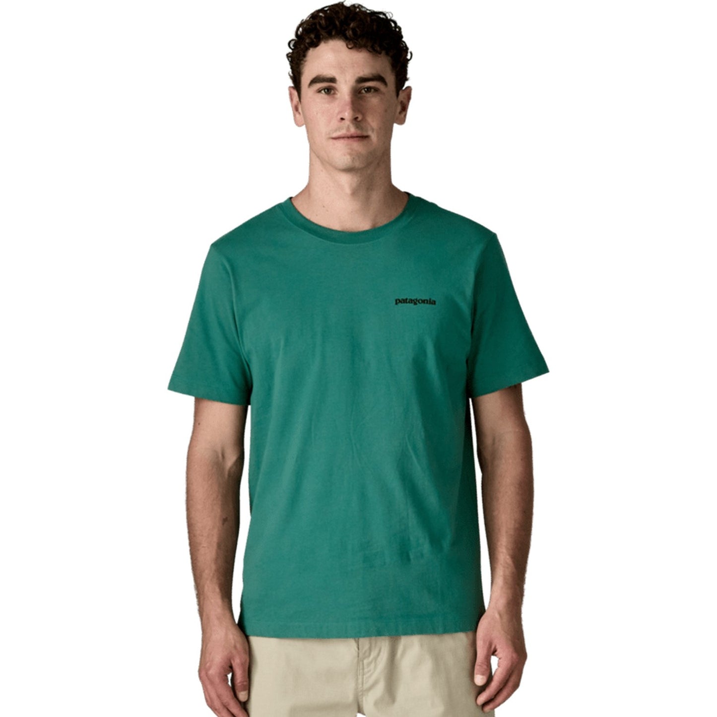 T-shirt Uomo Patagonia - M's P-6 Logo T-Shirt - Verde