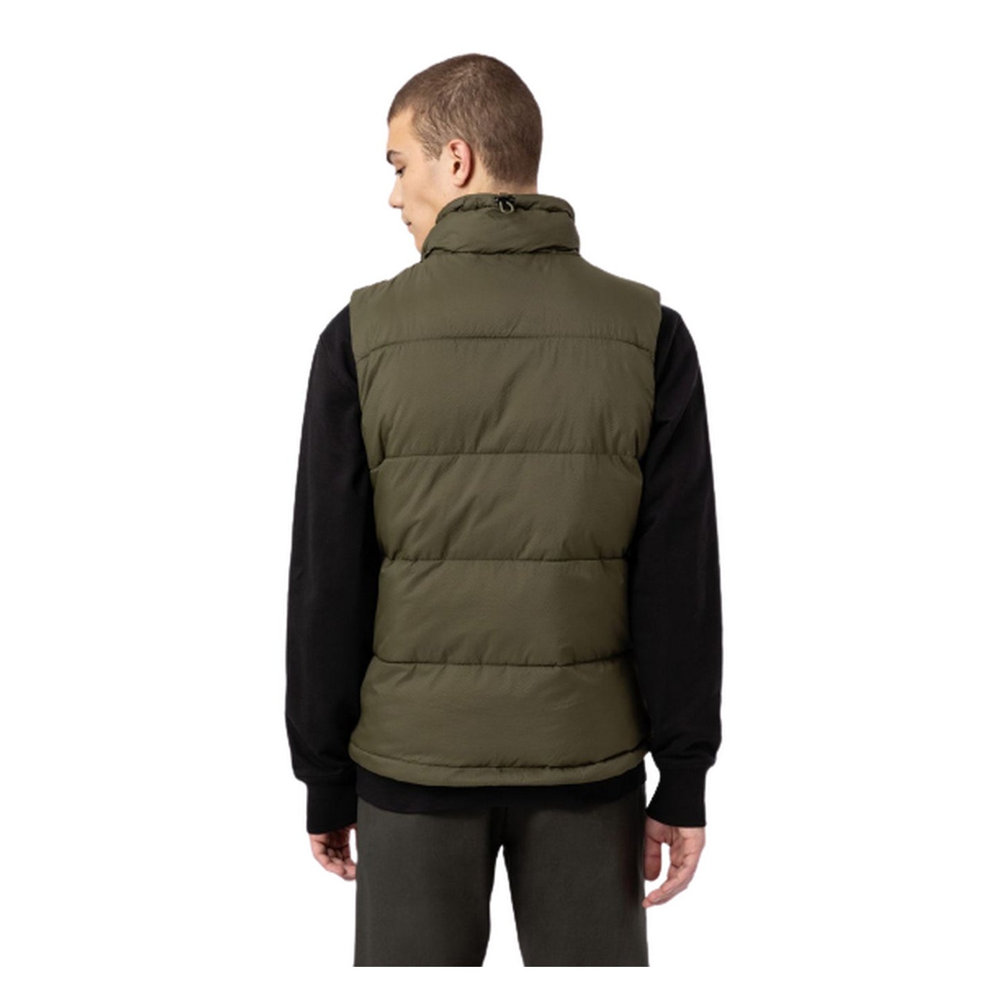 Gilet Uomo Dickies - Waldenburg Vest - Verde