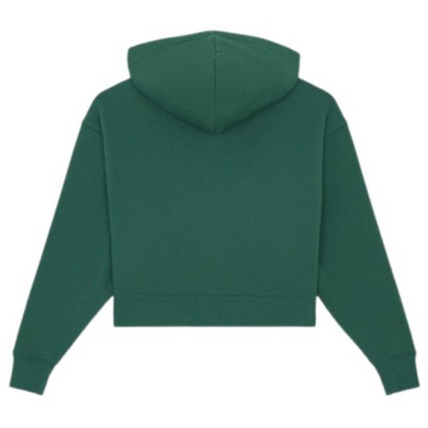 Dickies Sweats à capuche pour femmes - Oakport Zip Hoodie W - Vert