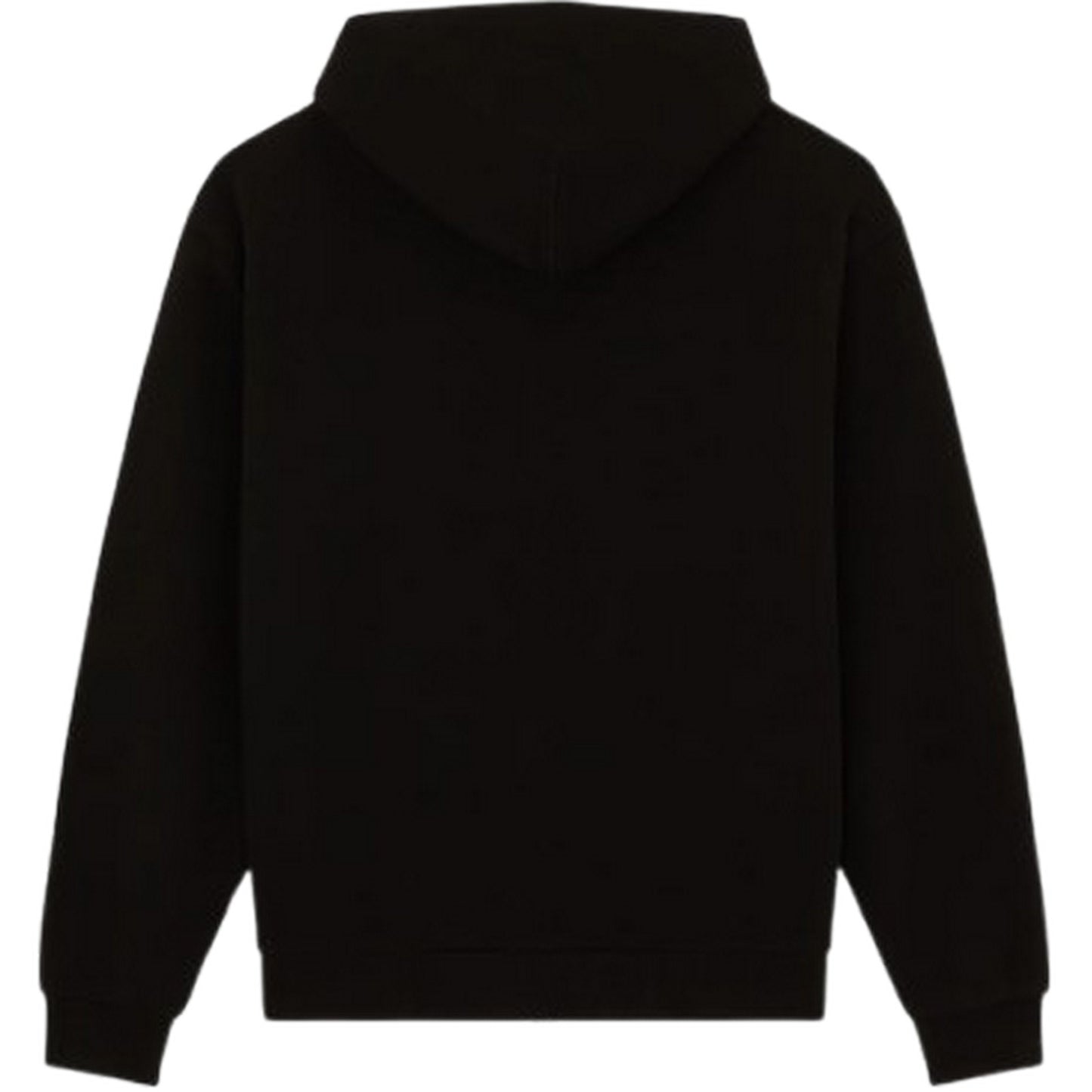 Felpe con cappuccio Uomo Dickies - Fostoria Fz Hoodie - Nero