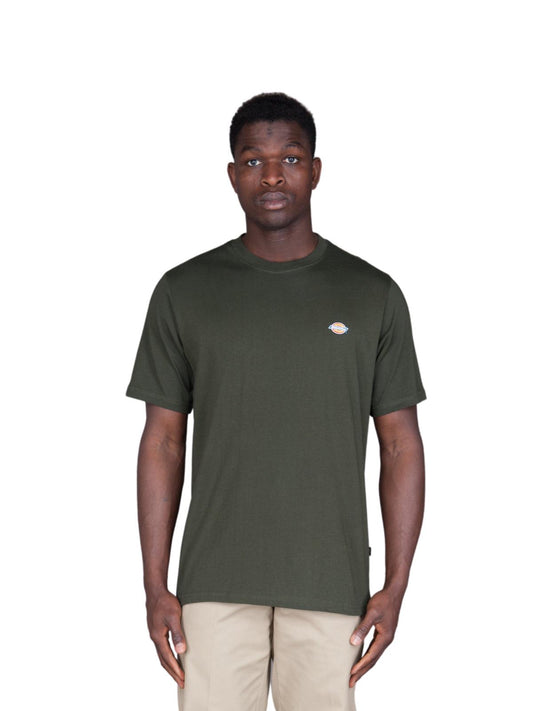 Dickies T-shirt pour hommes - Ss Mapleton T-Shirt - Vert