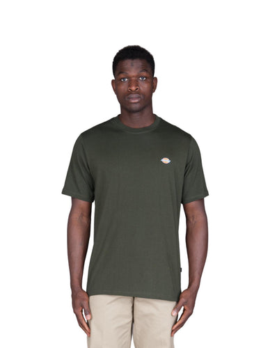 Dickies T-shirt pour hommes - Ss Mapleton T-Shirt - Vert