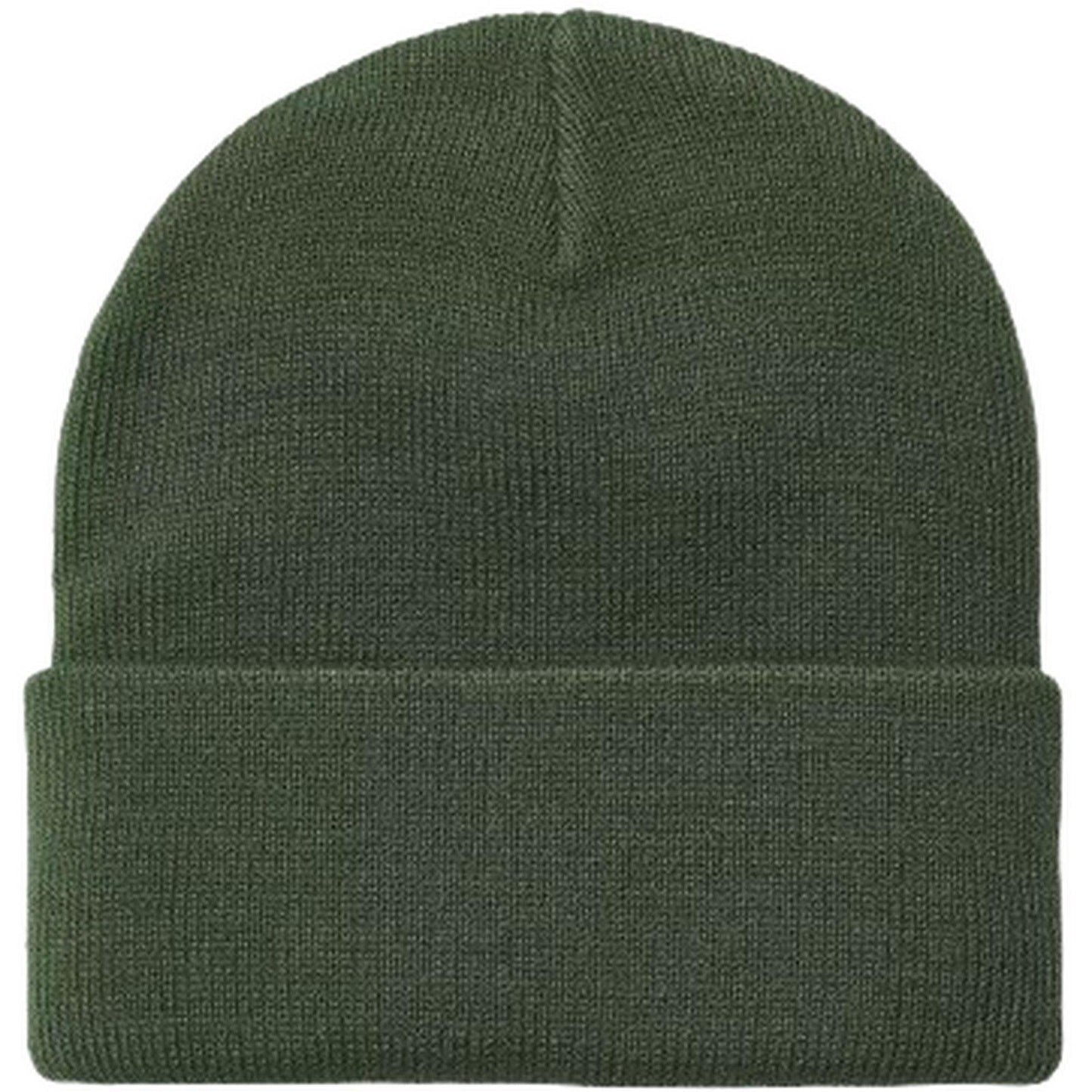 Berretti in maglia Unisex Carhartt Wip - Short Watch Hat - Verde