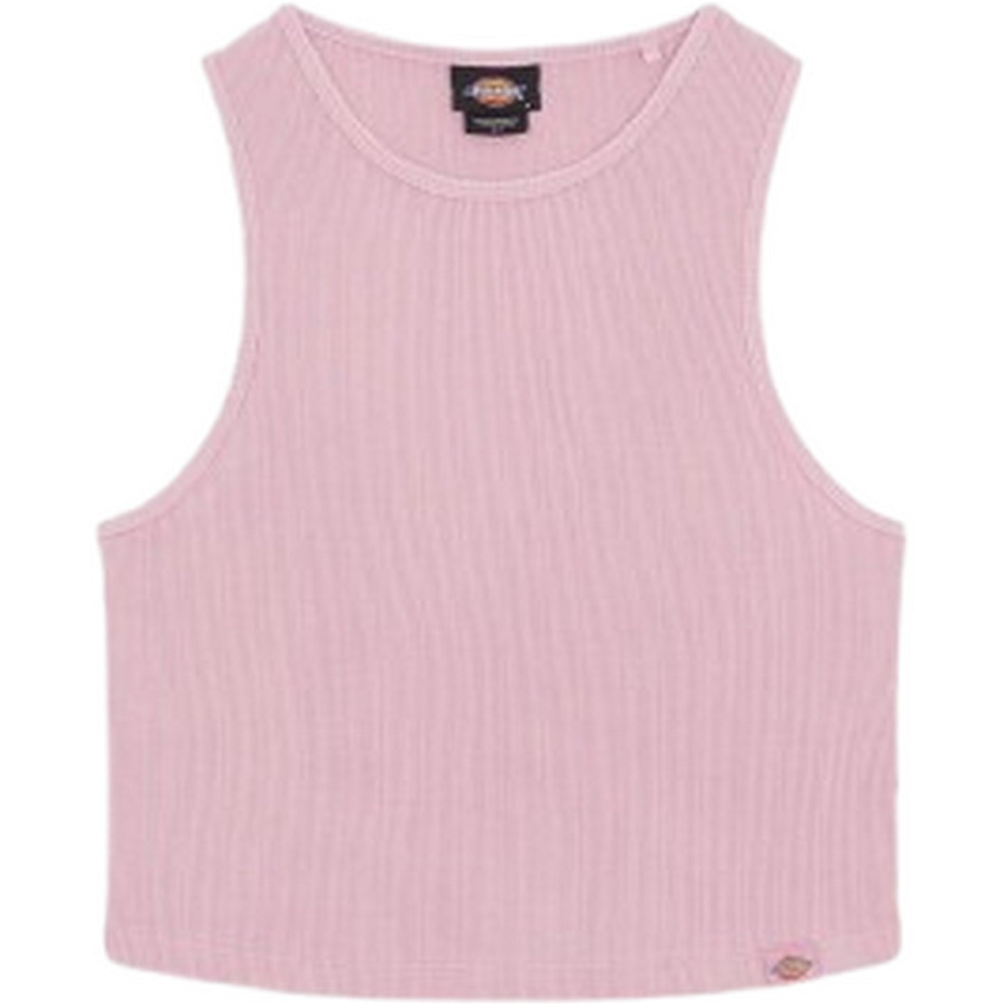 Canotte e top Donna Dickies - Plentywood Gd Vest W - Lilla