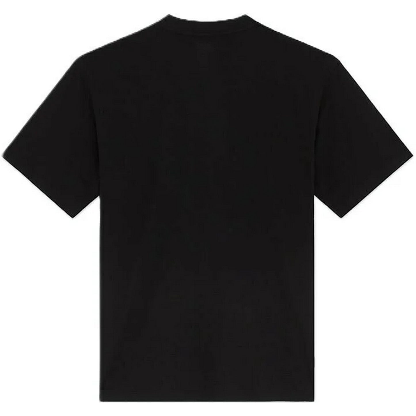 T-shirt Uomo Dickies - Lynndyl Ss Tee - Nero