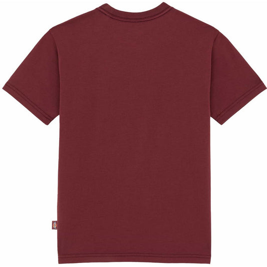 T-shirt Donna Dickies - Maple Valley Reg Tee W - Marrone