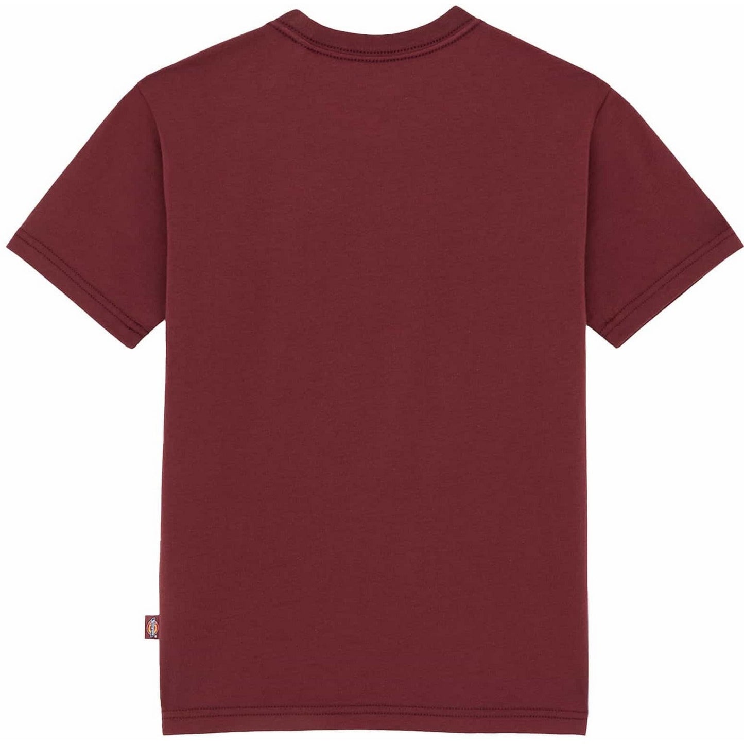 Camiseta Dickies Mujer - Maple Valley Reg Tee W - Marrón