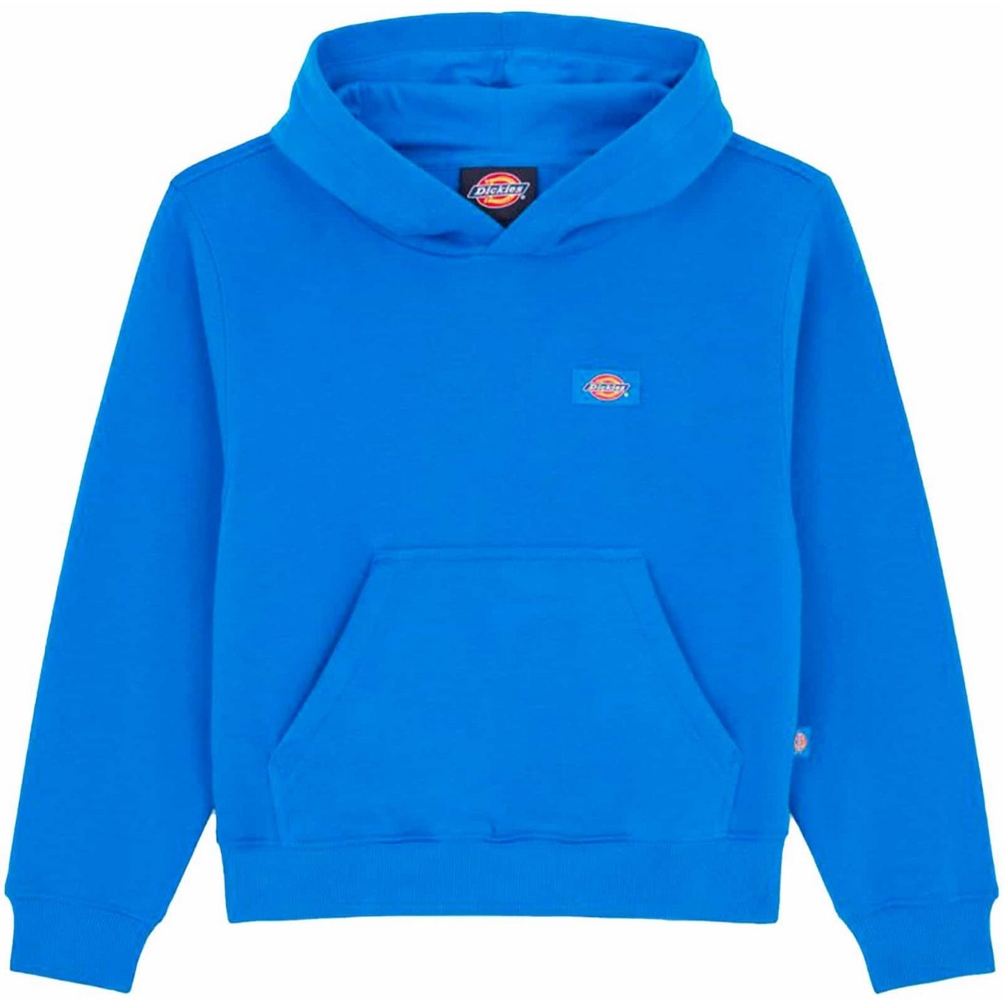 Sweats à capuche garçons unisexe Dickies - Sweat à capuche Oakport pour jeunes - Bleu