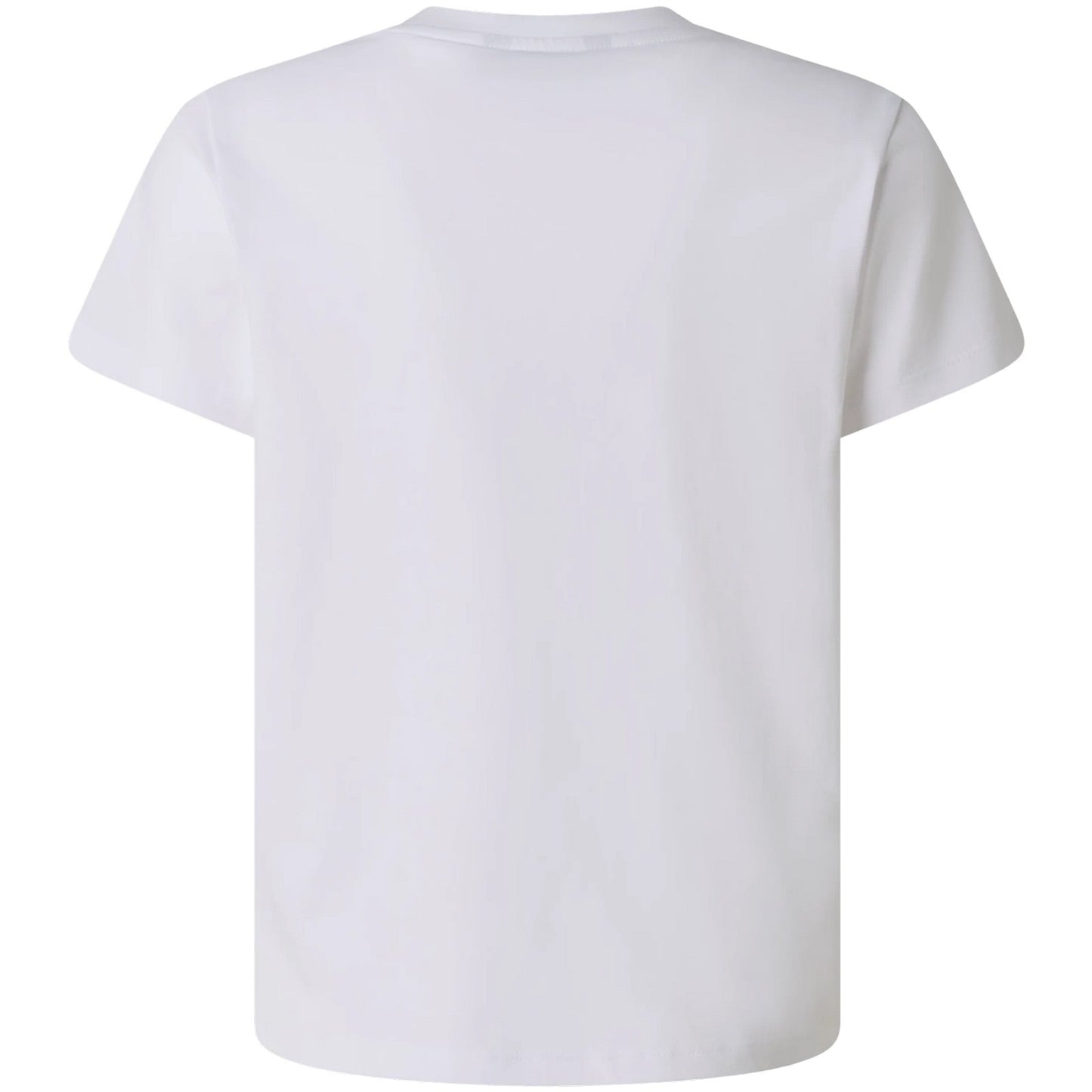 T-shirt Bambino The North Face - B Liquid Logo Reg Ss Tee Tnf White - Bianco