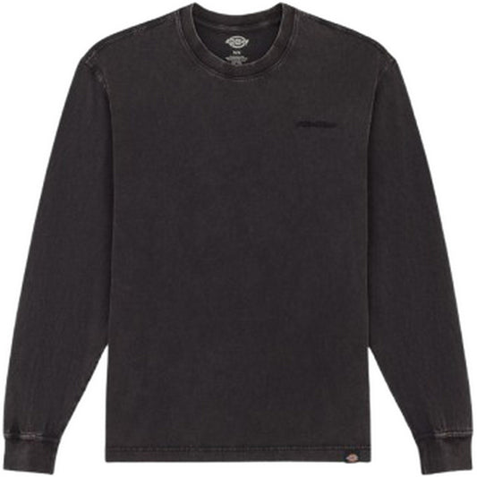 Dickies Chemises à manches longues pour hommes - Plentywood Tee Ls - Noir