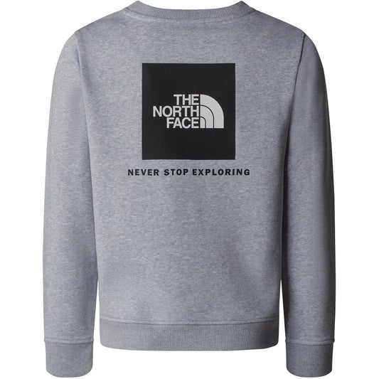 Felpe senza cappuccio Ragazzi Unisex The North Face - Teen Box Nse Regular Crew - Grigio