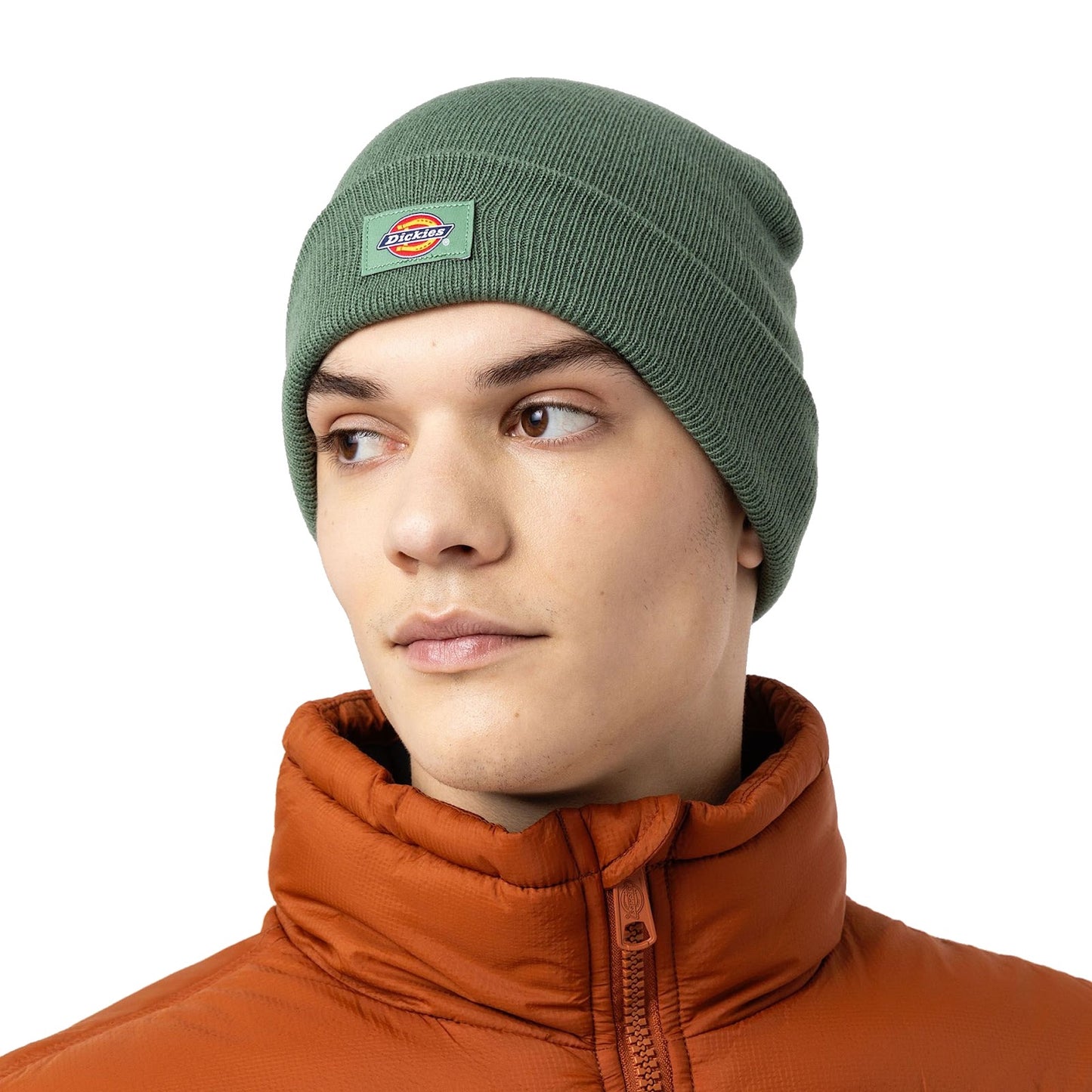 Berretti in maglia Uomo Dickies - Gibsland Beanie - Verde