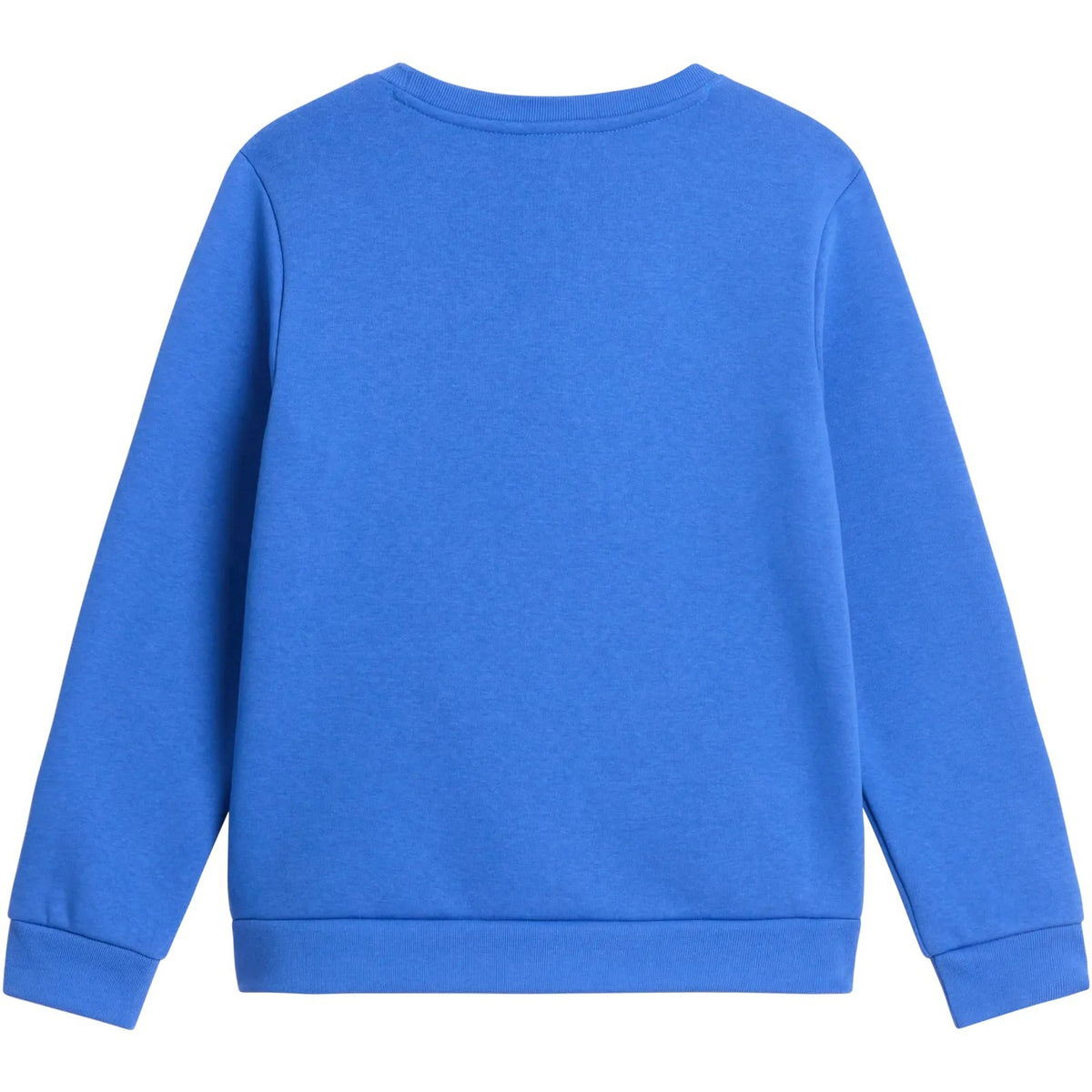 Felpe senza cappuccio Ragazzi Unisex The North Face - Teen Evoltn Sd Crew - Blu