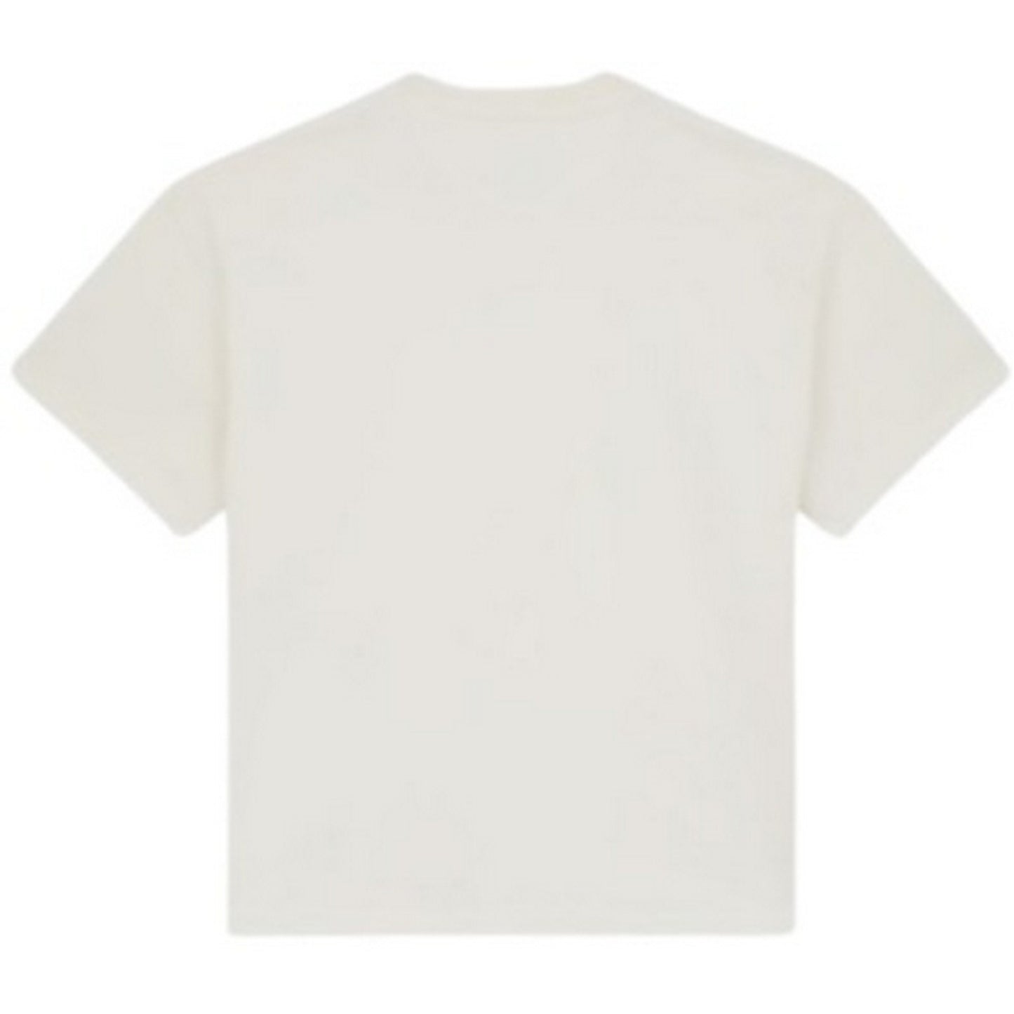 Męska koszulka Dickies – Mineral Heavyweight Ss Tee – Biała