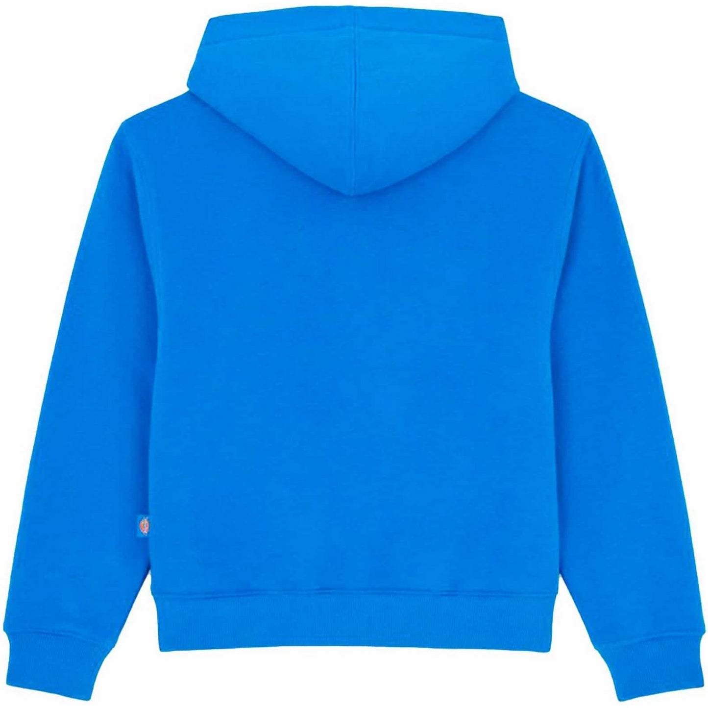 Sweats à capuche garçons unisexe Dickies - Sweat à capuche Oakport pour jeunes - Bleu