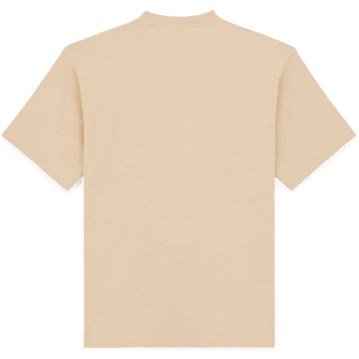 T-shirt Uomo Dickies - Clancy Heavyweight Tee Ss - Beige