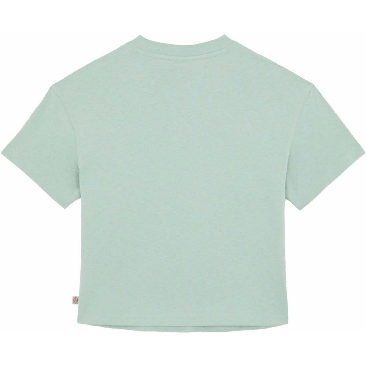 Dickies Women's T-shirt - Oakport Boxy Tee Ss W - Green