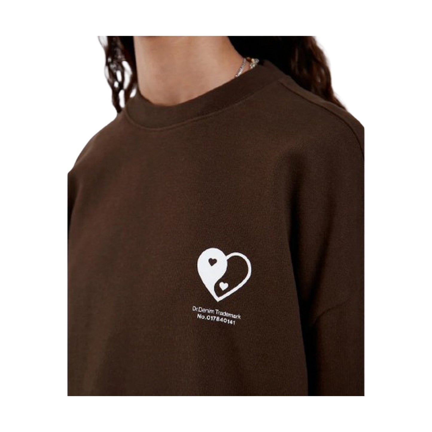 Maglie a manica lunga Uomo DrDenim - Kenan Sweatshirt - Marrone