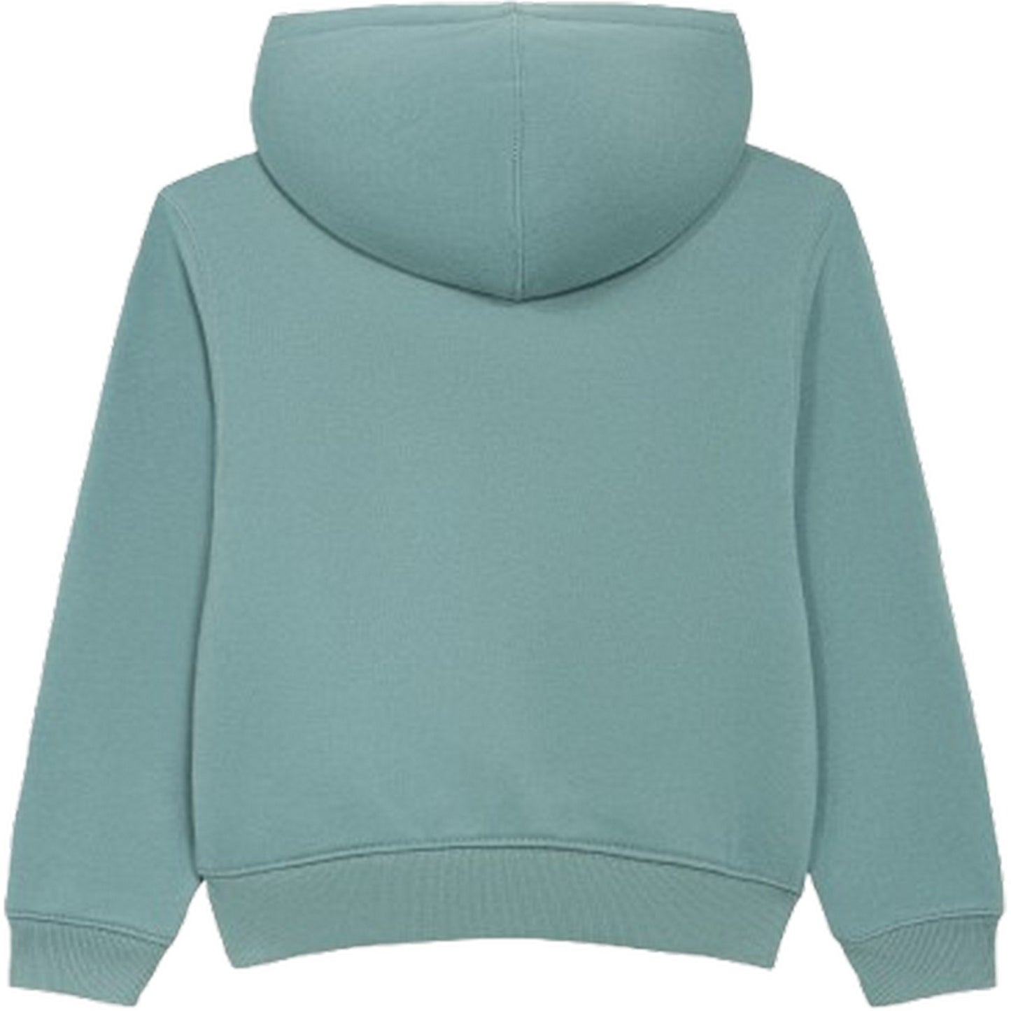Felpe con cappuccio Bambini Unisex Dickies - K Terry Full Zip Hoodie - Verde