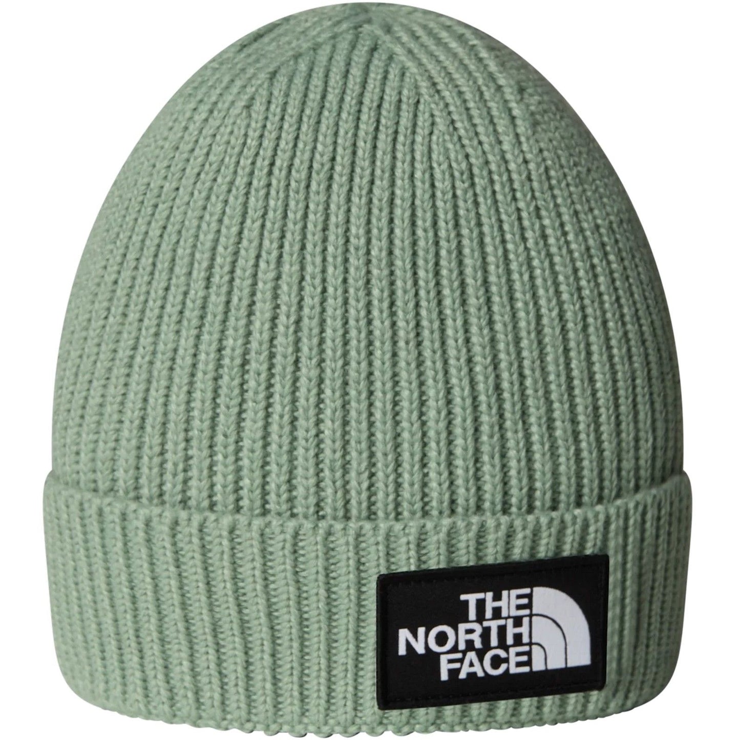 The North Face Boys' Hats and Caps - Kids Tnf Logo Box Cuffed Beanie - Green