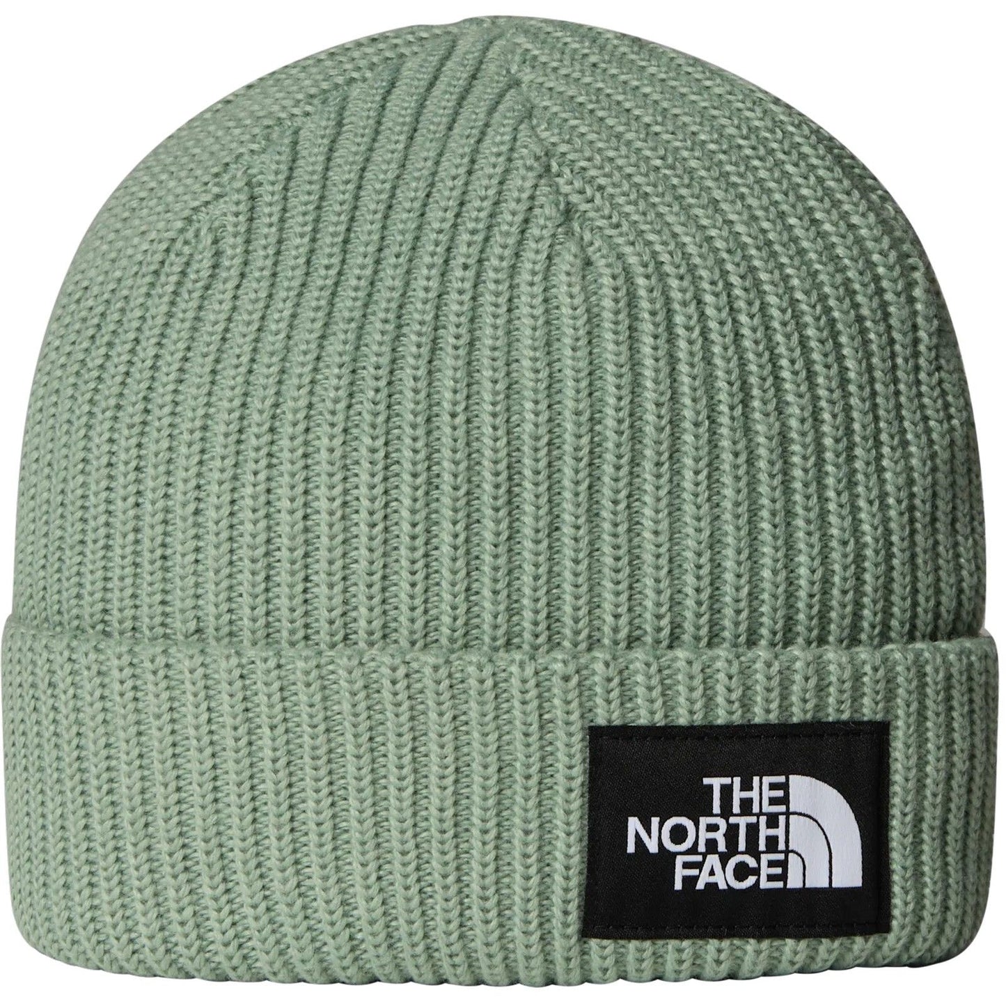The North Face Boys' Hats and Caps - Kids Salty Lined Beanie - Green