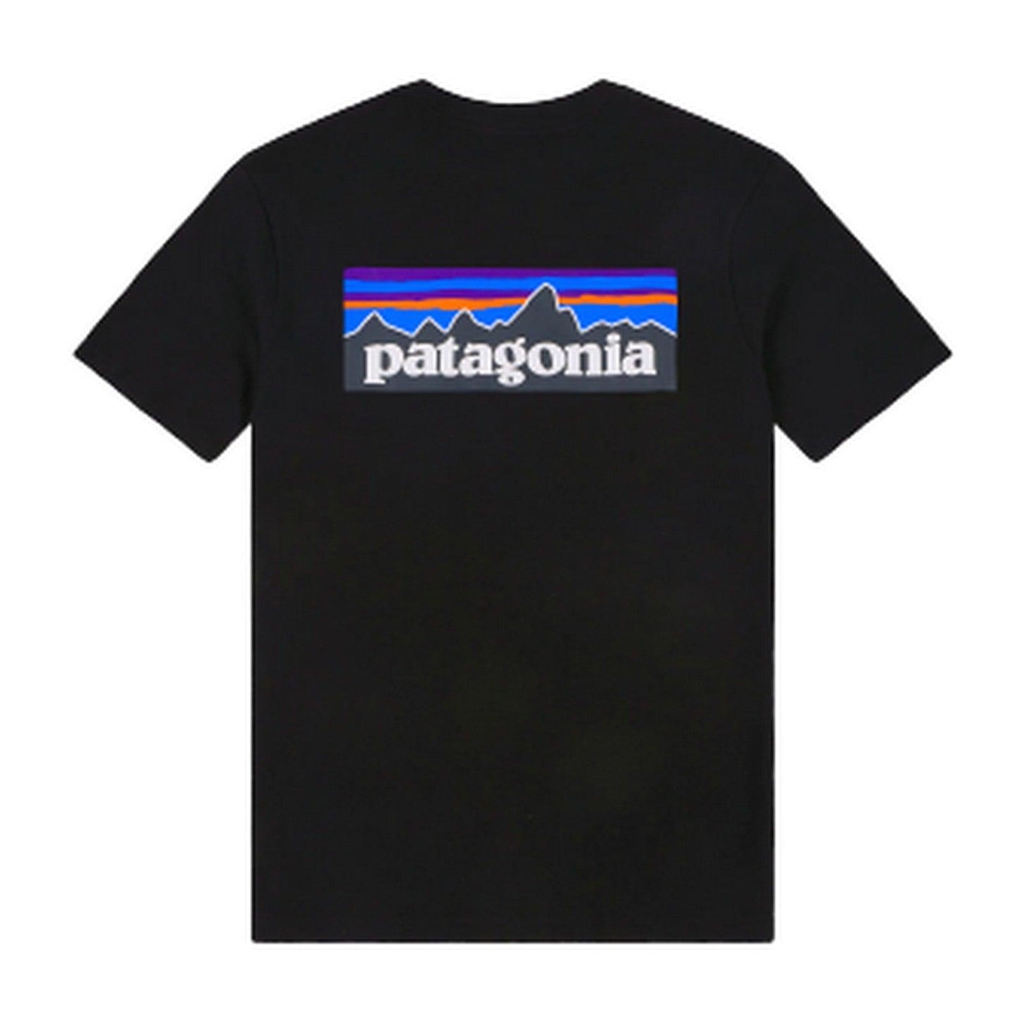 T-shirt Uomo Patagonia - M's P-6 Logo Responsibili-Tee - Nero
