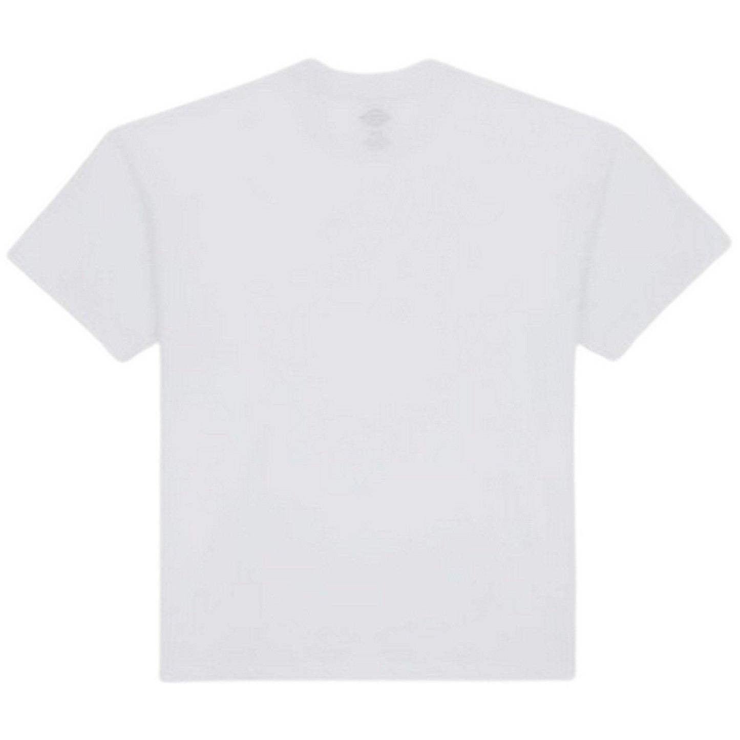 T-shirt Uomo Dickies - Enterprise Tee Ss - Bianco