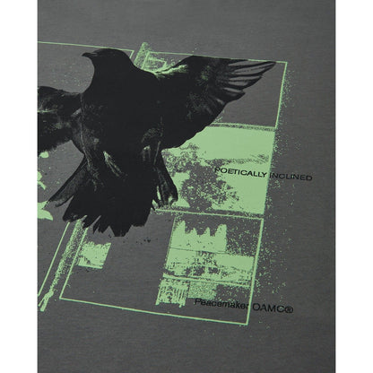 T-shirt Uomo OAMC Peacemaker - Regular Tee Birds Print - Grigio