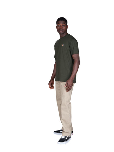 Dickies T-shirt pour hommes - Ss Mapleton T-Shirt - Vert