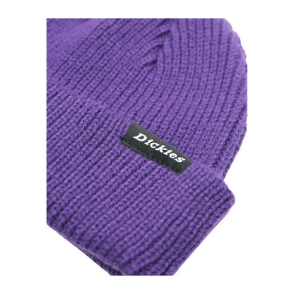 Berretti in maglia Uomo Dickies - Woodworth Beanie - Viola