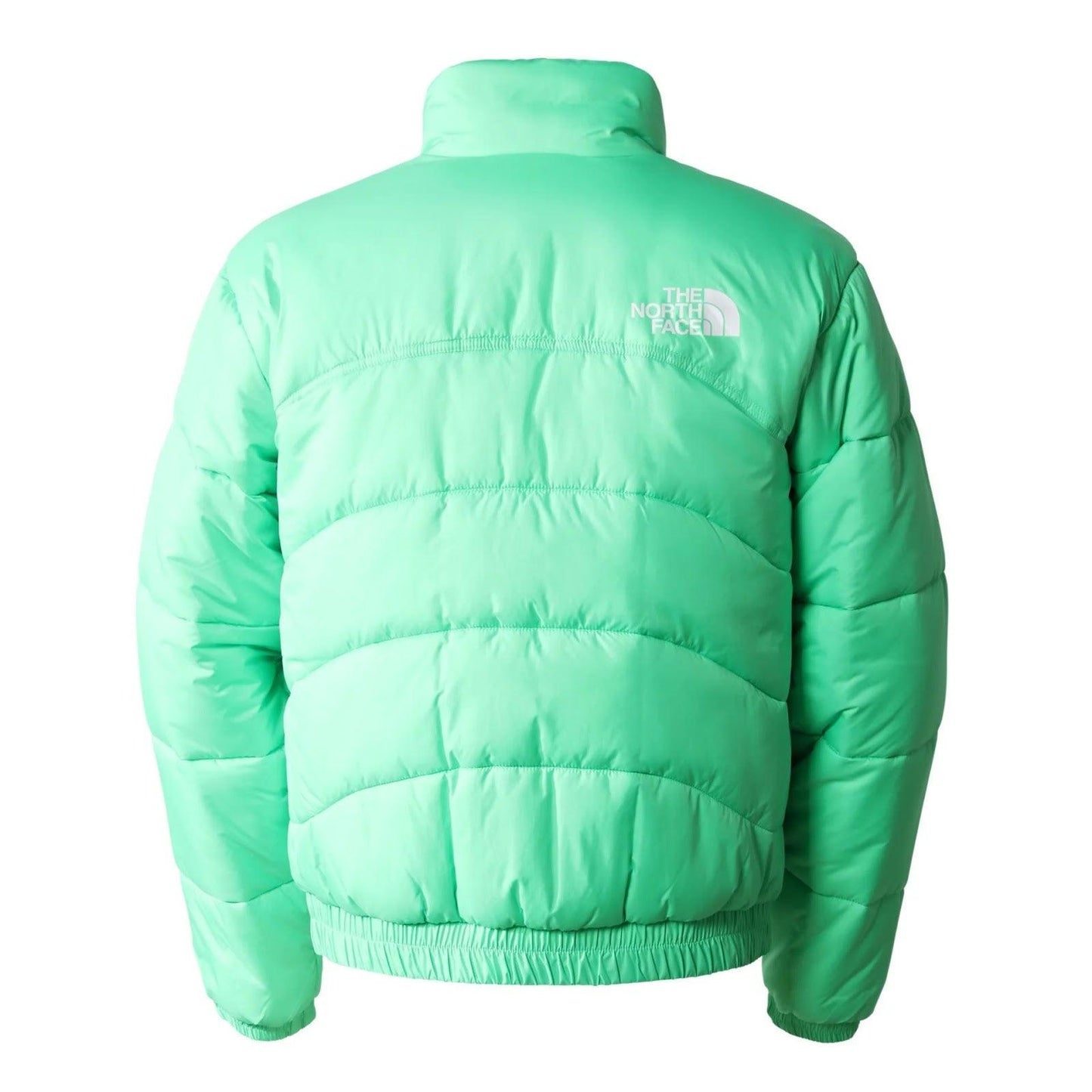 Piumini Uomo The North Face - M Tnf Jacket 2000 - Verde