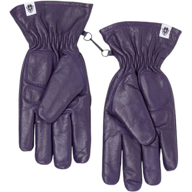 Edwin Unisex Gloves - Function Gloves - Purple