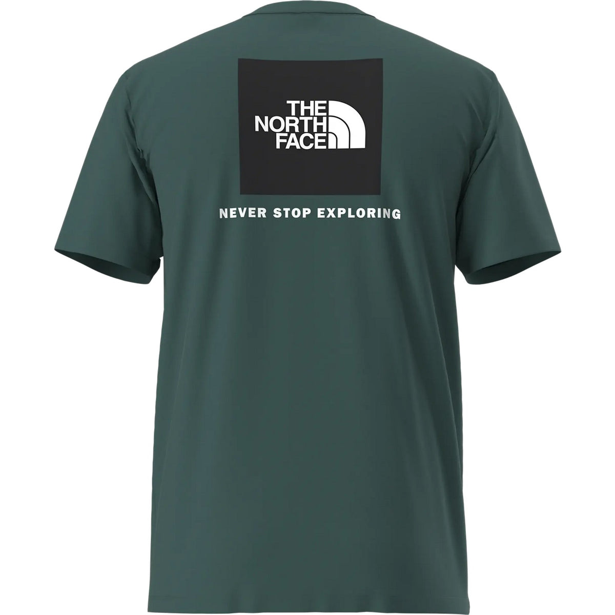 T-shirt Uomo The North Face - M Evolution Box Nse Regular Short Sleeve - Verde