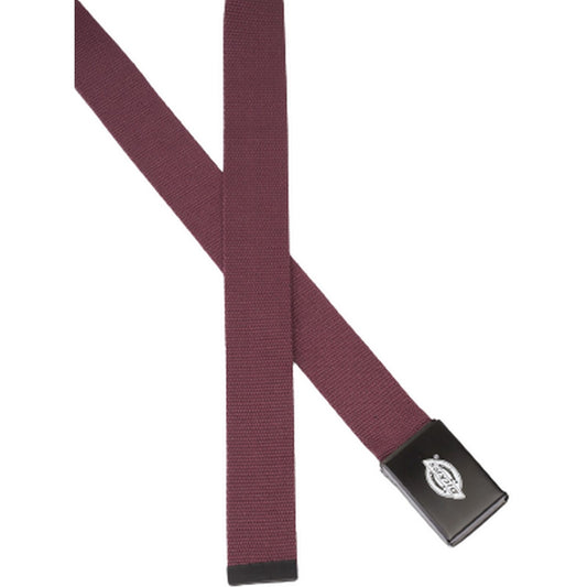 Cinture Uomo Dickies - Orcutt Webbing Belt - Viola