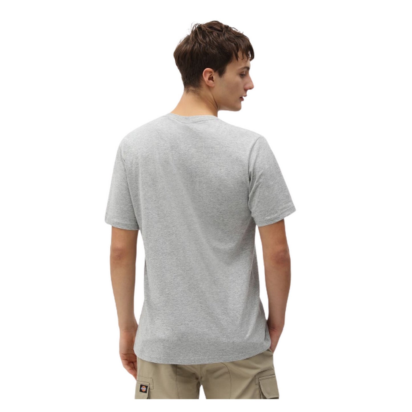 T-shirt Uomo Dickies - Ss Mapleton T-Shirt - Grigio