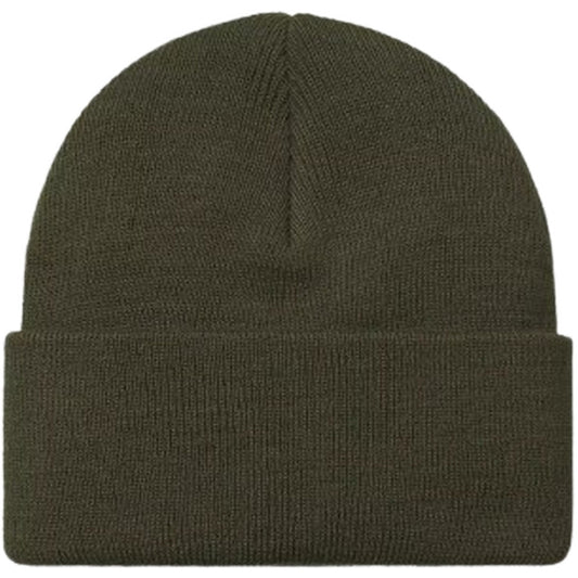 Berretti in maglia Unisex Carhartt Wip - Chase Beanie - Verde