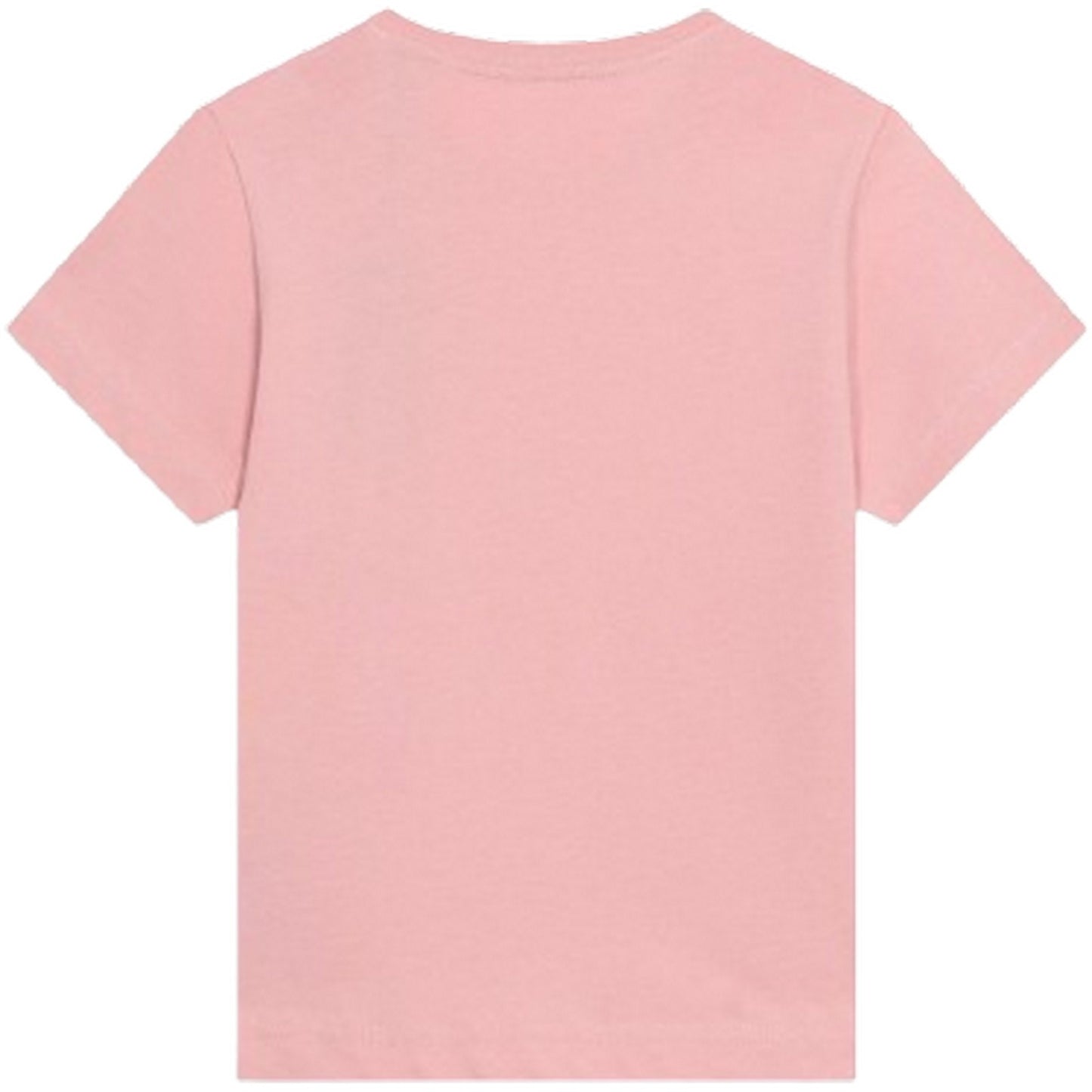 T-shirt Bambino Dickies - Mapleton T-Shirt K - Rosa